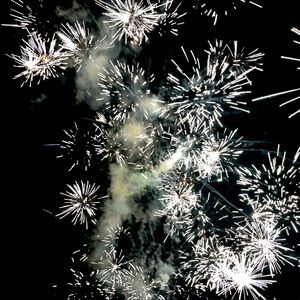 Meet your Posher, Zoe